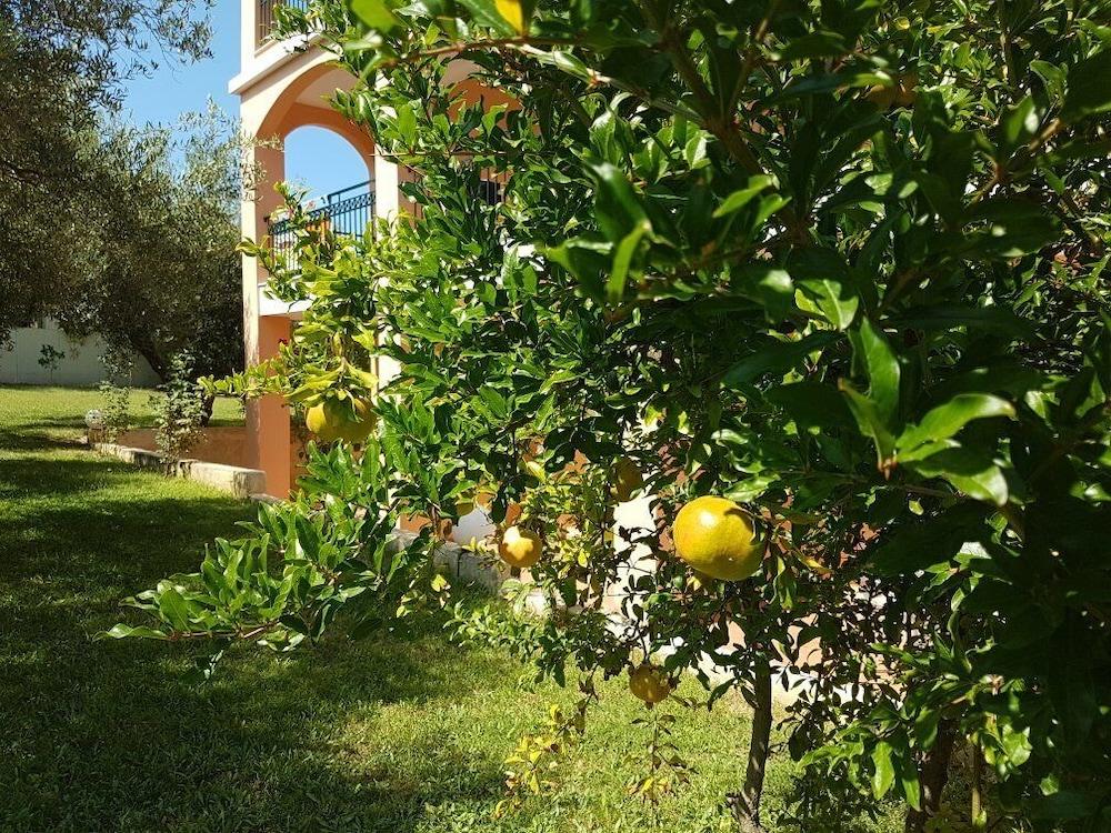 Aloni Hotel Pefkochori Buitenkant foto